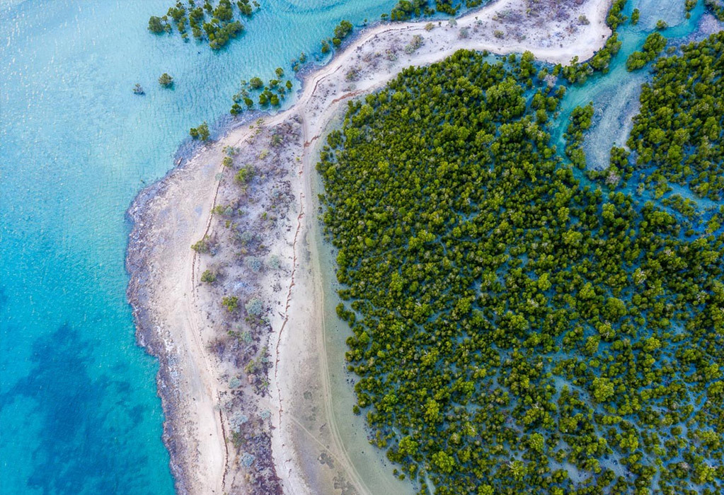 Aerial view of mangrove forests in the Bay of Assassins, southwest Madagascar, part of the Velondriake Locally Managed Marine Area. Courtesy of Blue Ventures | Louise Jasper.