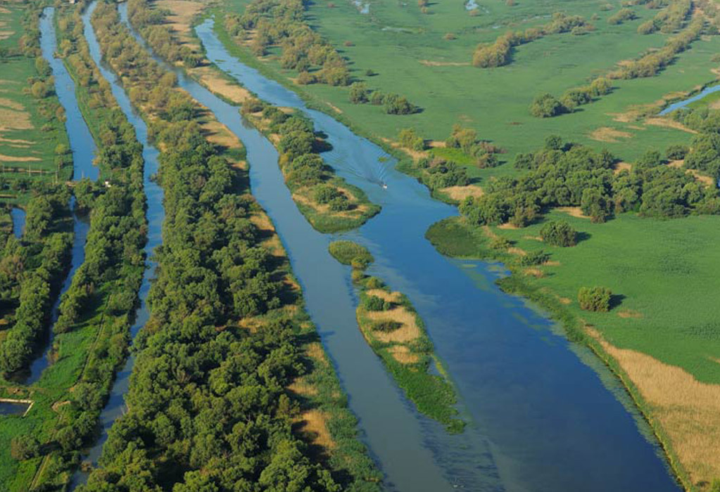 An aerial over the Romanian part of the Danube Delta project area. Courtesy of Staffan Widstrand / Rewilding Europe.
