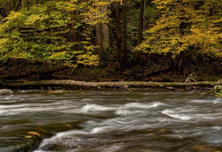 Aschach River Austria. Courtesy of Eggar, WWF Austria.