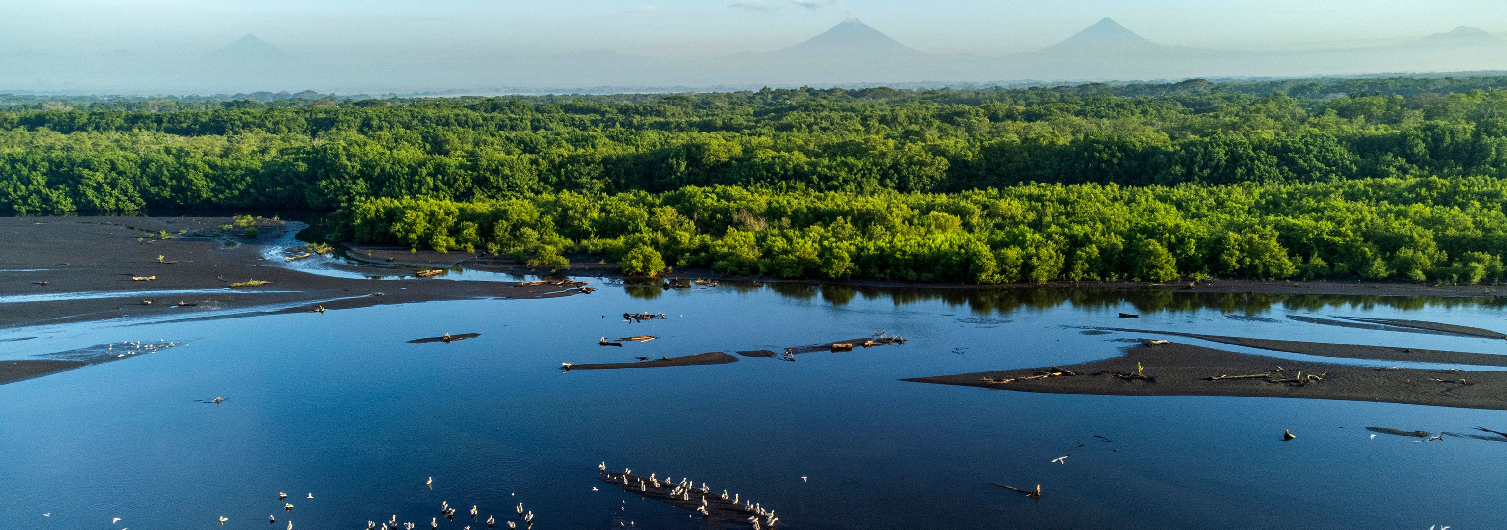 Ocean 5. Courtesy of Sergio Izquierdo, Wildlife Conservation Society. Guatemala, 2023.